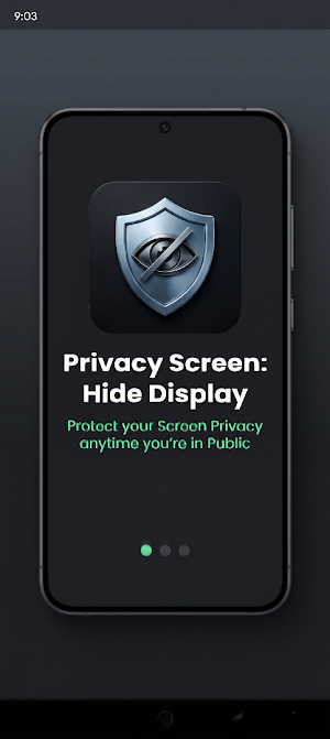 Privacy Screen: Hide Display Screenshot 0
