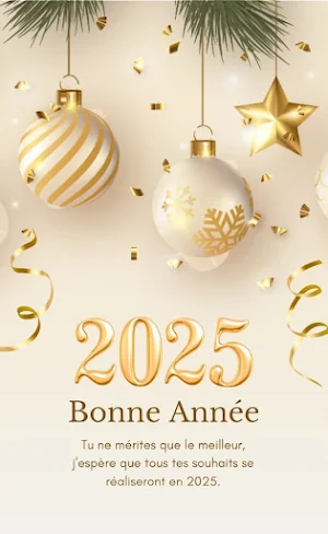 Bonne Année Screenshot 3