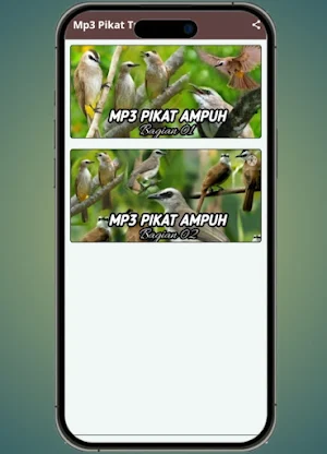 Suara pikat burung trucukan Screenshot 1