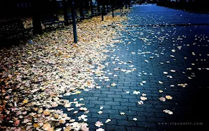 Autumn Wallpapers Screenshot 1