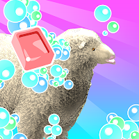 Farm Animal Care