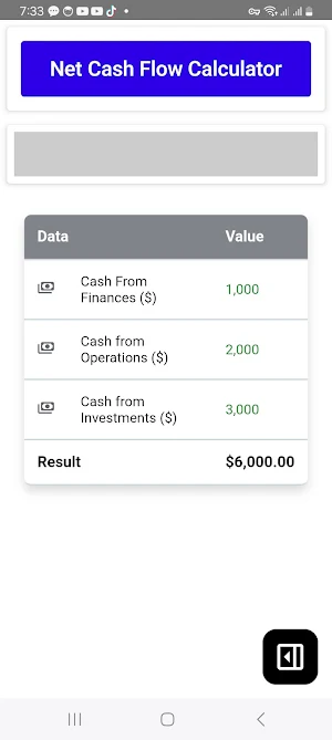 Net Cash Flow Calculator Screenshot 1