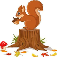 Squirrel