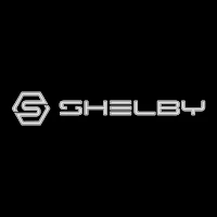 Shelby detailing