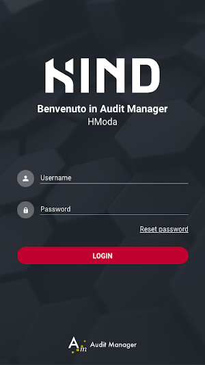 Audit Manager - HModa Screenshot 1