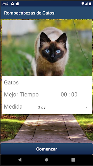 Rompecabezas de Gatos Screenshot 2