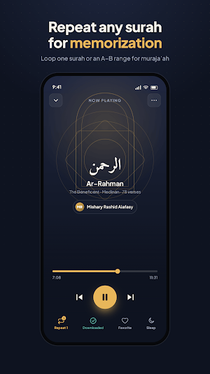 Quran Audio - Listen Offline Screenshot 3