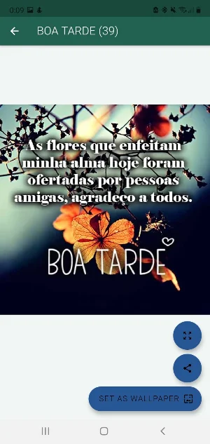 FELIZ POR DO SOL E BOA TARDE Screenshot 2