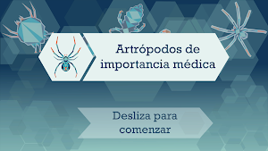 ArtromedUNAM Screenshot 1