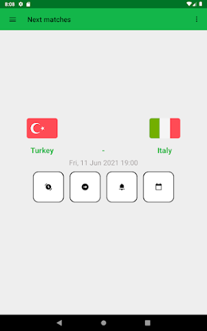 FBR - Euro 2020 Screenshot 3