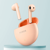 Honor Earbuds X5 Guide