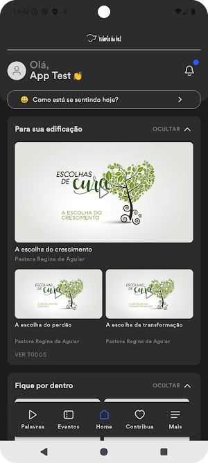 Templo da Paz Screenshot 0