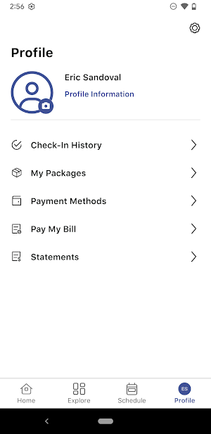 AVSP Screenshot 2