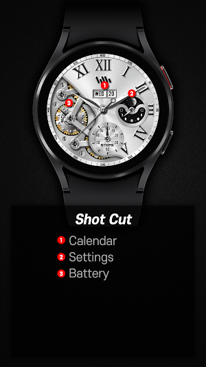 SamWatch Analog Epsilon 2021 Screenshot 2
