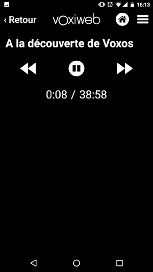 Voxiweb Screenshot 1