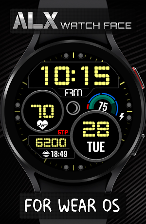 ALX04 LCD Watch Face Screenshot 1