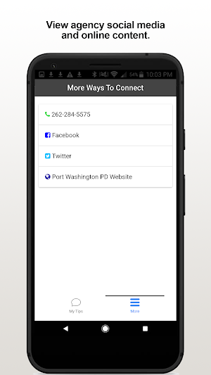 Port Washington PD Screenshot 2