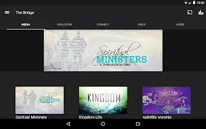 The Bridge RSM Screenshot 3