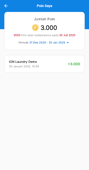 ION Laundry Screenshot 3