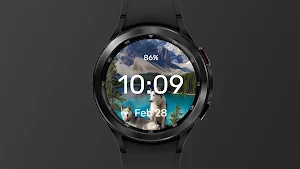 Huskies Sunbathing Watch Face Screenshot 0