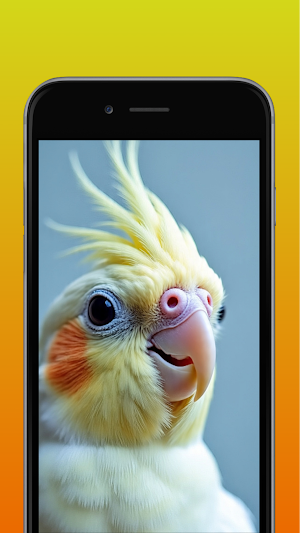Cockatiel bird Wallpaper 4K Screenshot 2