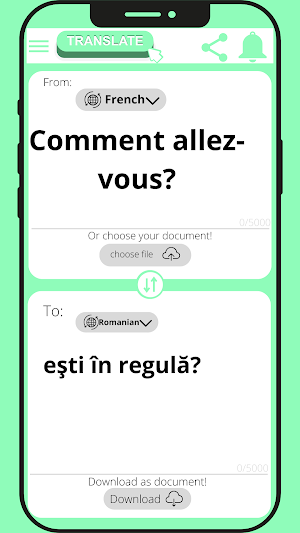 Romanian - French Translator Screenshot 2