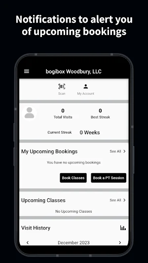 Bogibox Screenshot 2