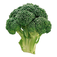 Vegetable Sticker for WhatsApp