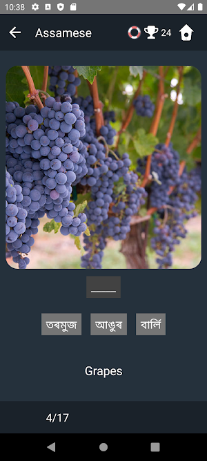 Assamese Language Tests Screenshot 3