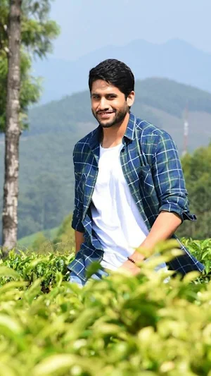 Naga Chaitanya Wallpapers,quiz Screenshot 0