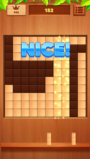 Block Puzzle Wood 3D Screenshot 1