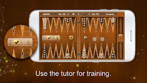 Backgammon Gold Screenshot 2
