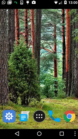 forest tree wallpaper Screenshot 1