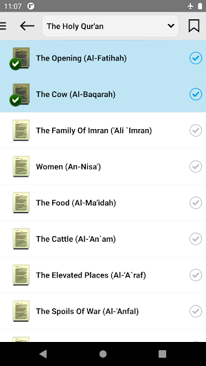 Quran Pro Screenshot 1