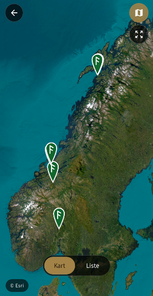 Fornfunn II Screenshot 3