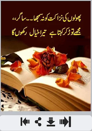 Dosti Shayri Screenshot 0