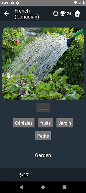 Canadian French Language Tests Screenshot 3