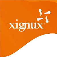 Reunión Anual de TI - Xignux