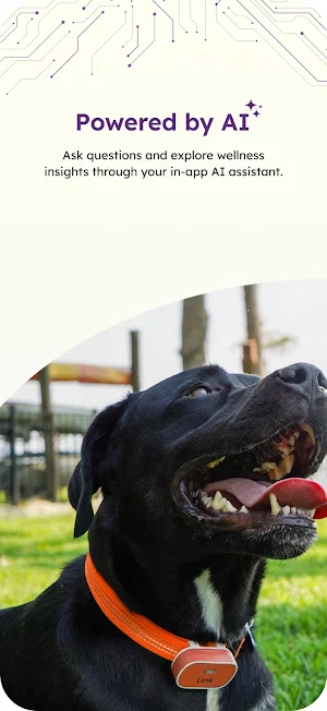Iris Veterinary Care Screenshot 2