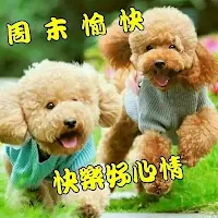 週末愉快