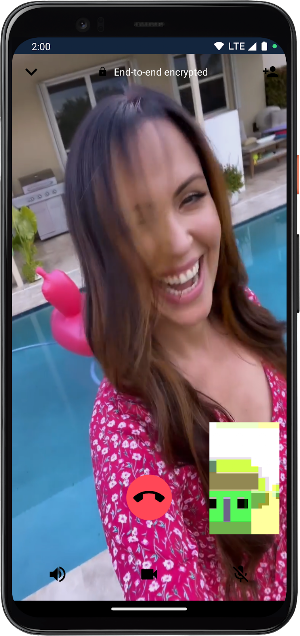 Sandra Cires Llamada Falsa Screenshot 2