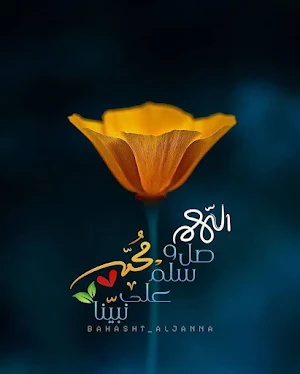 خلفيات ميلاد الرسول - تهنئة المولد النبوي الشريف Screenshot 0