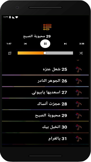 شيلات ماجد الرسلاني بدون نت Screenshot 1