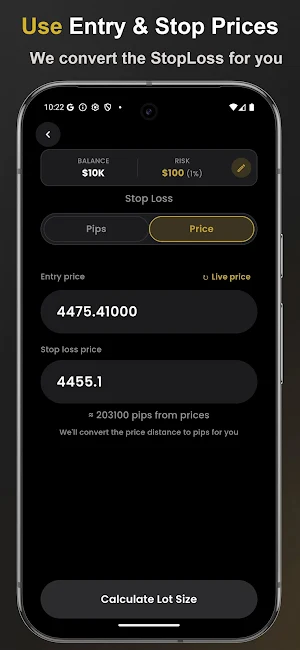 Gold Lot Size Calculator Screenshot 2