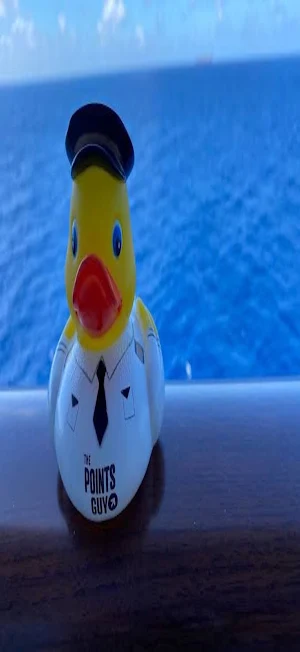 Cruise Duckers Screenshot 2