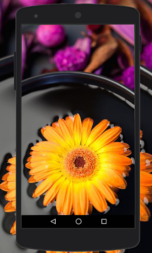 Flower Wallpapers HD Screenshot 1