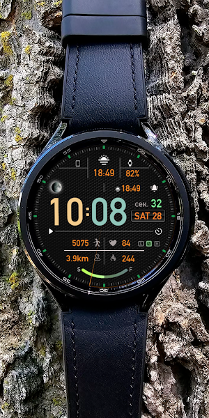 Digital FRAN Watch face Screenshot 2
