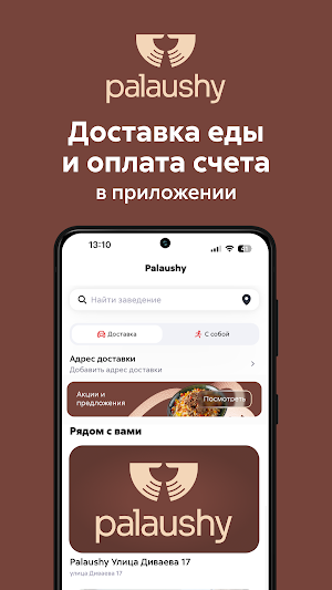 Palaushy Screenshot 0
