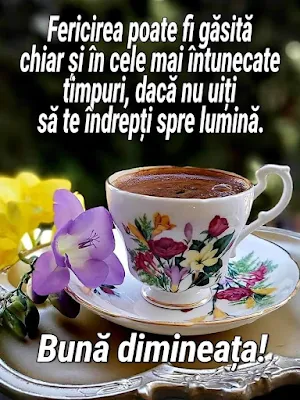 Buna dimineata Screenshot 1