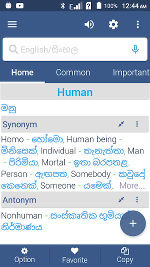 English To Sinhala Dictionary Screenshot 2